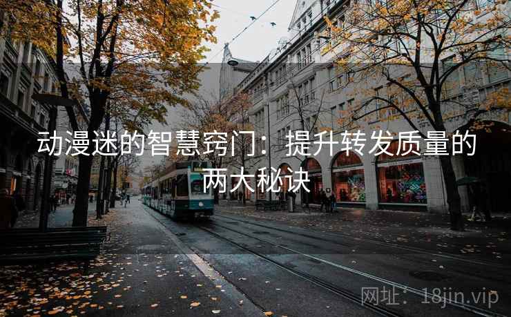动漫迷的智慧窍门：提升转发质量的两大秘诀  第2张