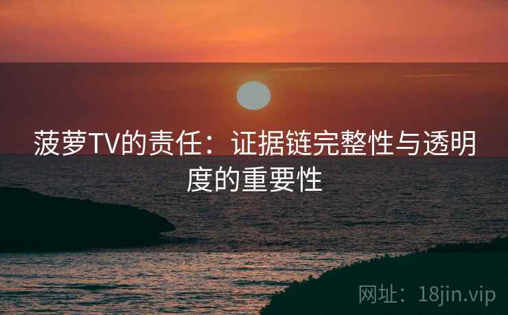 菠萝TV的责任：证据链完整性与透明度的重要性
