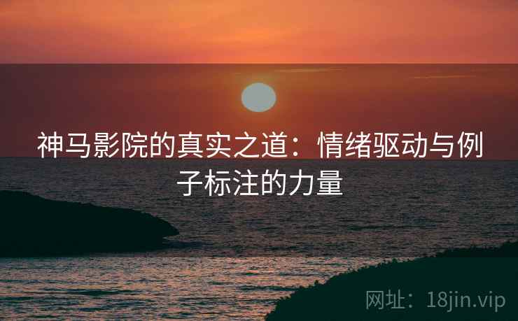 神马影院的真实之道：情绪驱动与例子标注的力量