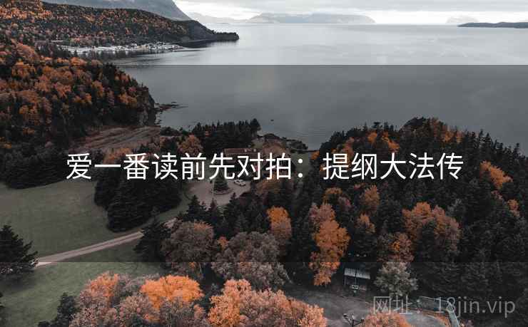 爱一番读前先对拍：提纲大法传